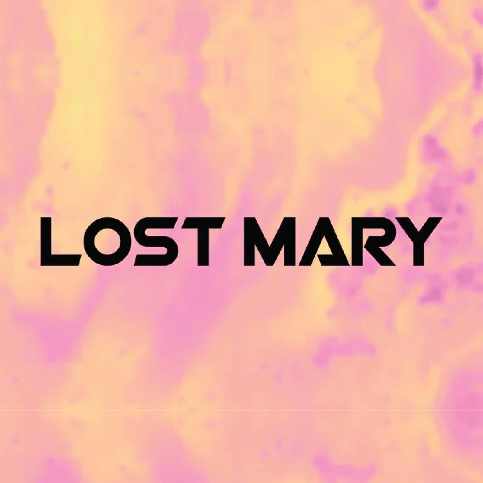 LOST MARY
