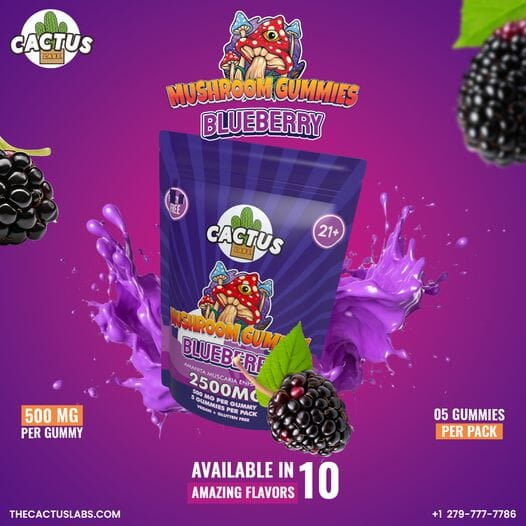 CACTUS MUSHROOM GUMMIES | 2500MG 